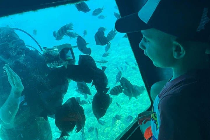 Hurghada Semi-Submarine Tour and Snorkeling in the Red Sea photo 3