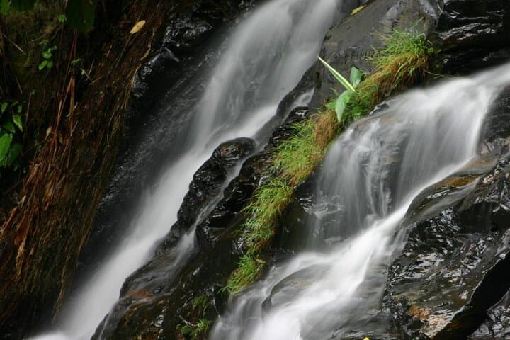 Langkawi Full-Day Shared Tour: SkyCab, SkyBridge, Kilim Mangroves & Waterfalls photo 2