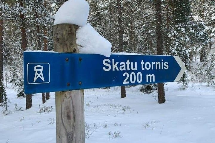 Husky Dog Sled and Bike-Kart Adventure From Riga — 3-Hour Forest Ride photo 3