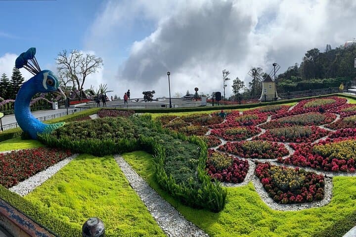 Ba Na Hills & Golden Bridge: Cable Car, Golden Hands & Mountain Views from Da Nang photo 2