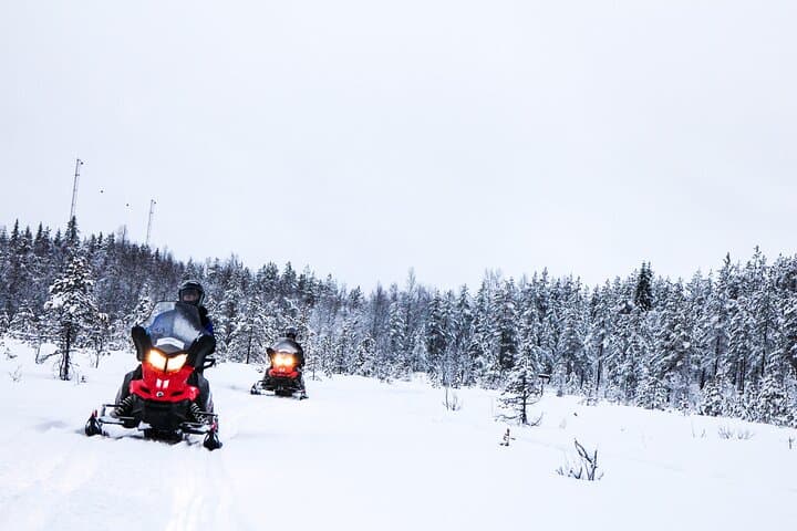 Full-Day Wilderness Snowmobiling in Inari: Backcountry Lapland Safari