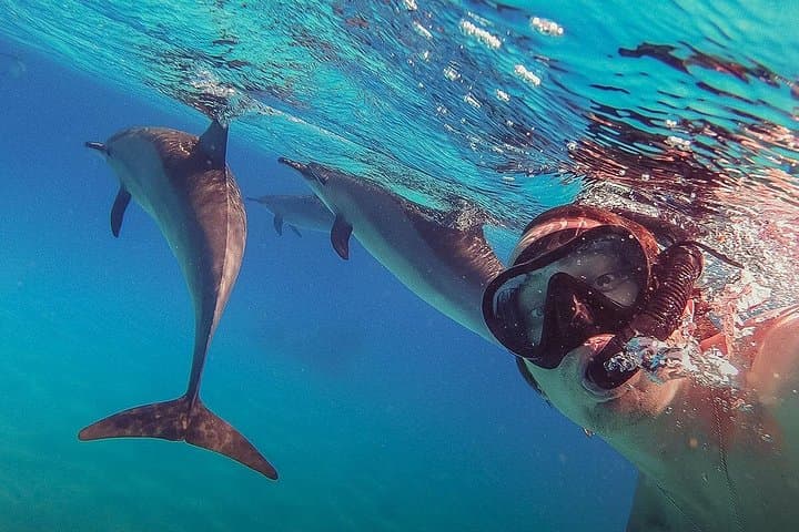 White Island Snorkeling at Ras Mohammed: Full-Day Boat Trip from Sharm El Sheikh photo 2