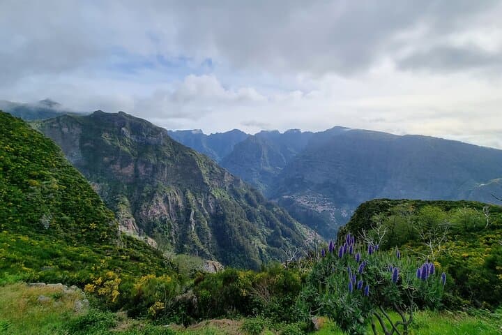 Madeira 4x4 Jeep Tour: Cabo Girão Skywalk, Vineyards & Câmara de Lobos Half-Day photo 6