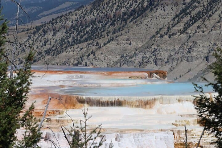 3-Day Yellowstone & Grand Teton Wildlife Loop: Upper & Lower Loop Scenic Tour from Jackson photo 3