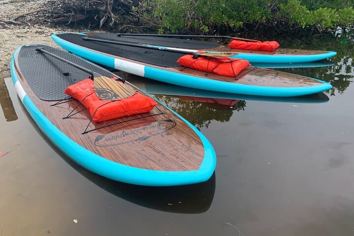 Sarasota Dolphin & Manatee Kayak Tour with Olde Florida History photo 3