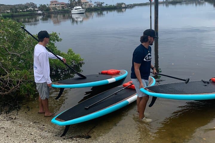 Sarasota Dolphin & Manatee Kayak Tour with Olde Florida History photo 4
