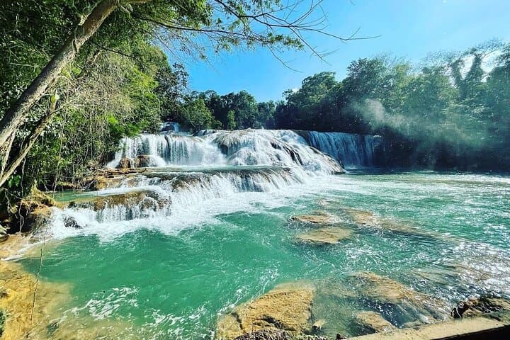 Agua Azul & Palenque Day Trip: Waterfalls, Rainforest & Classic Maya Ruins photo 3