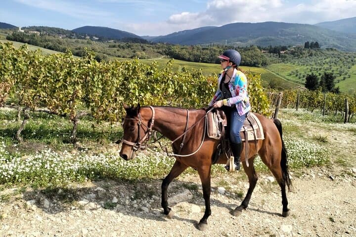 Chianti Horseback Ride and Noble-Estate Wine Tasting from Florence