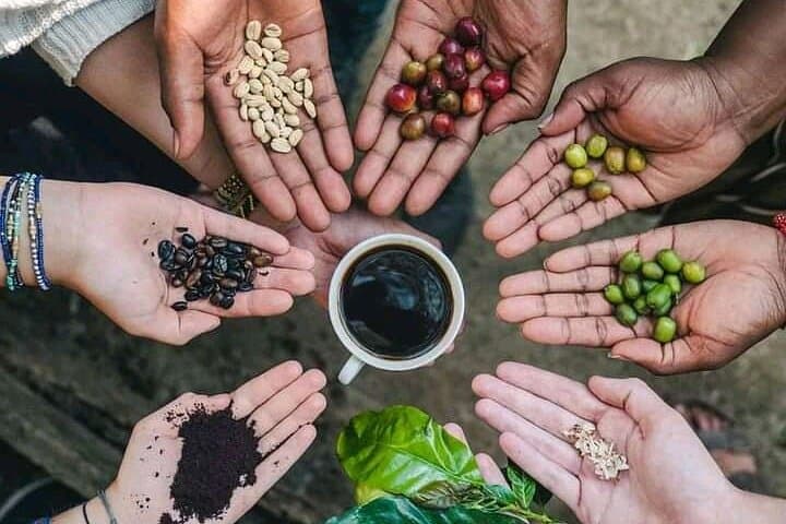 Materuni Waterfalls, Coffee & Maasai Village Day Trip from Arusha