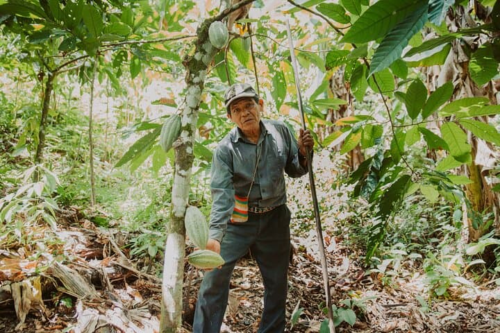 Costa Rica 10-Day Wildlife & Bri Bri Cultural Immersion Tour photo 1