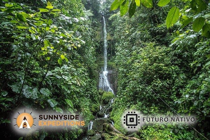 Costa Rica 10-Day Wildlife & Bri Bri Cultural Immersion Tour photo 4