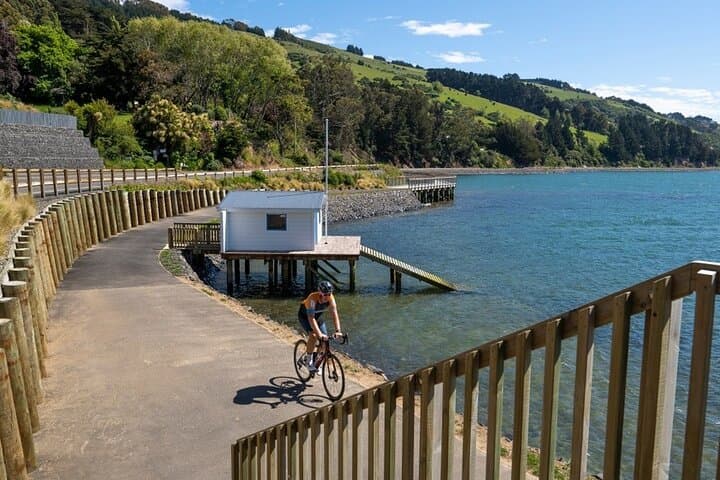 Dunedin Electric Bike Rental & Harbour Cycle Loop Guide photo 4