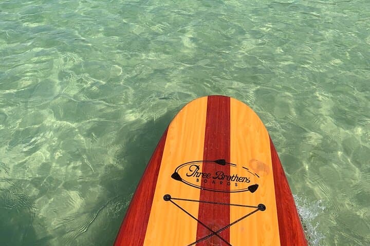 Paddle with Dolphins & Manatees: Naples Coastal Wildlife Tour photo 5