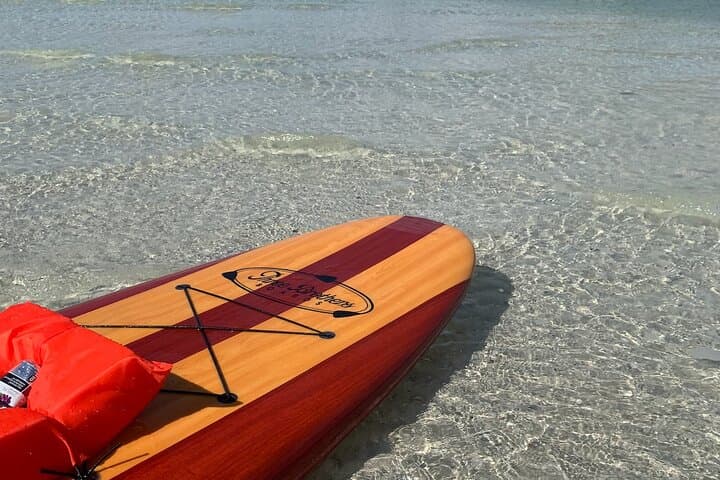 Paddle with Dolphins & Manatees: Naples Coastal Wildlife Tour photo 6