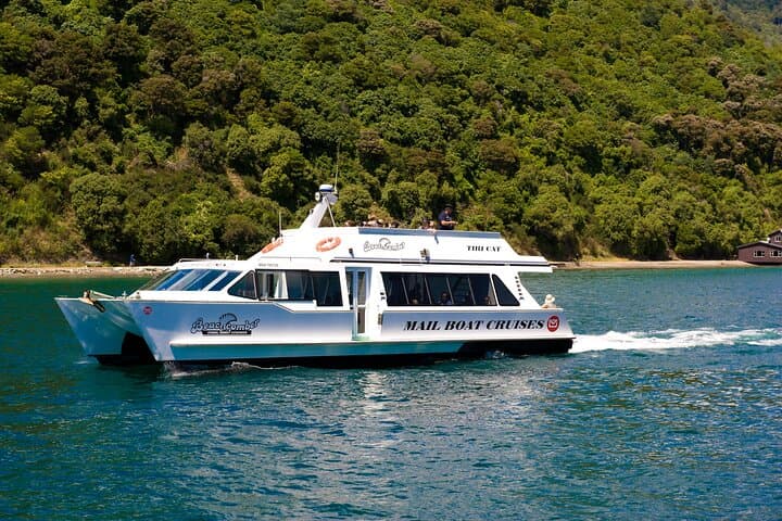 Picton Water Taxi to Kaipupu Sanctuary — 2.8km Native Bush Loop photo 3