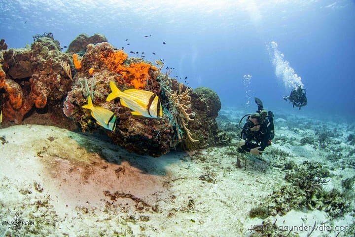 2-Tank Cozumel Reef Boat Dives — Palancar & Columbia Sites