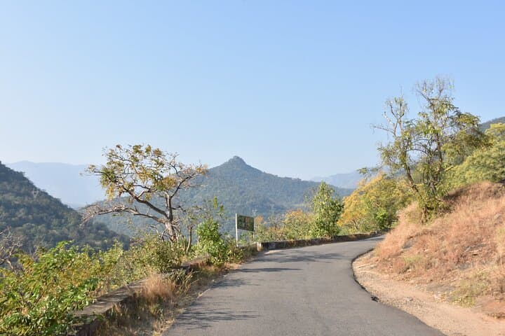 4-Day Village Exploration: Munnar & Marayoor Homestay Tour in Kerala photo 6