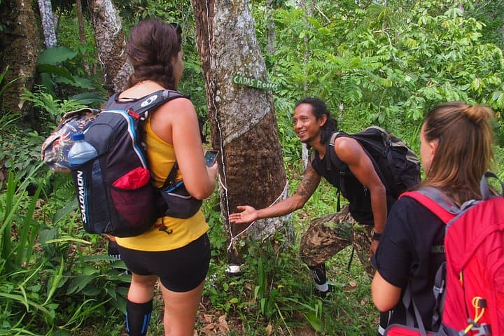 Jungle Trekking and River Rafting in Bukit Lawang: 2-Day Orangutan Adventure photo 2