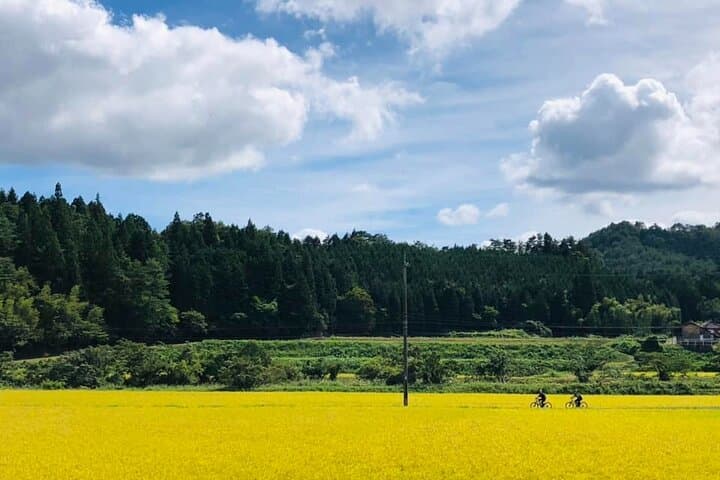 E‑Bike Through Oasa: Half‑Day Countryside Cycling from Hiroshima