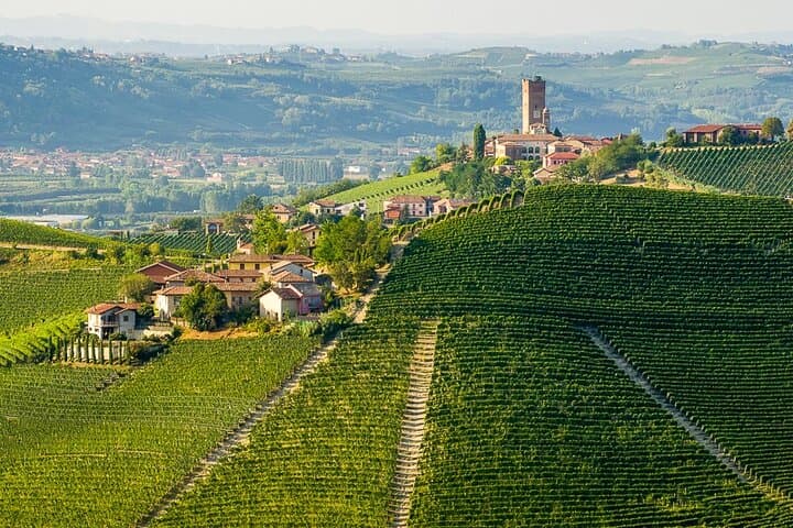 E‑bike Tour in Langhe del Barbaresco — 40 km Asphalt Ride from Alba photo 1