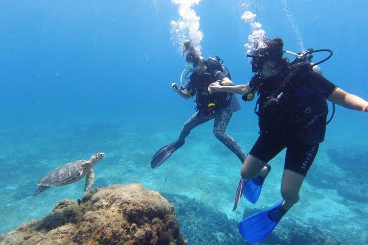 Cozumel Discover Scuba Diving — Introductory Reef Dives from Marina Asipona photo 2