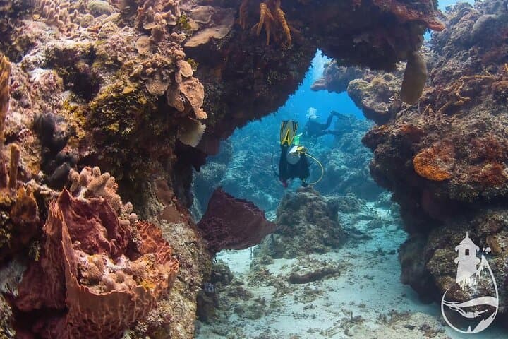 Cozumel Discover Scuba Diving — Introductory Reef Dives from Marina Asipona photo 3
