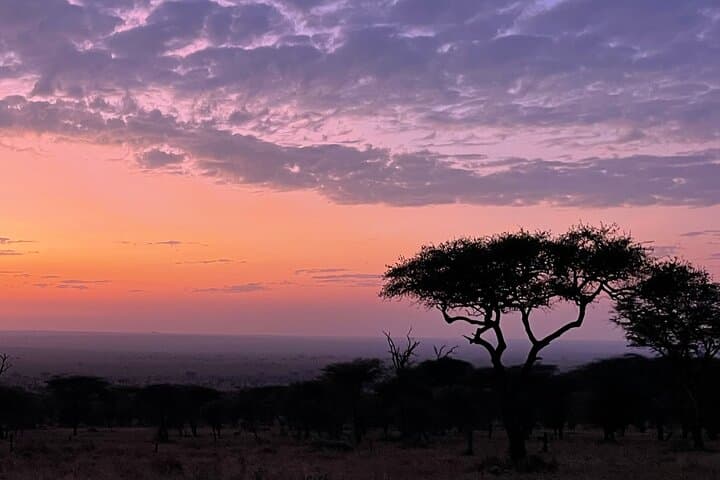 6-Day Big Five Dream Safari: Serengeti, Ngorongoro & Tarangire