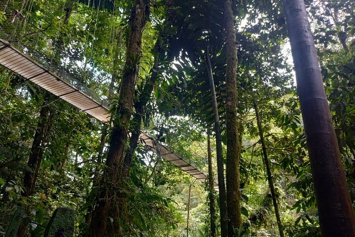 Hanging Bridges Walk in Costa Rica — Arenal Canopy Trail (3.2 km) photo 1