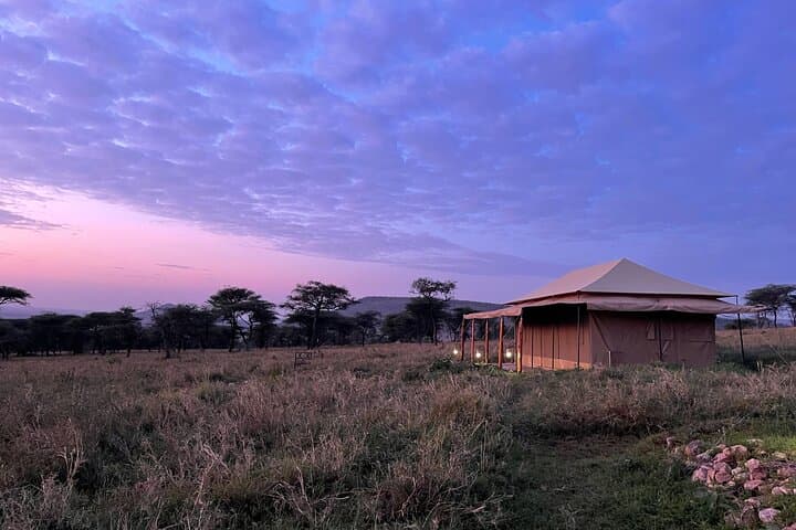 6-Day Big Five Dream Safari: Serengeti, Ngorongoro & Tarangire photo 3
