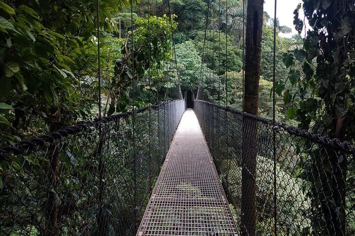 Hanging Bridges Walk in Costa Rica — Arenal Canopy Trail (3.2 km) photo 2
