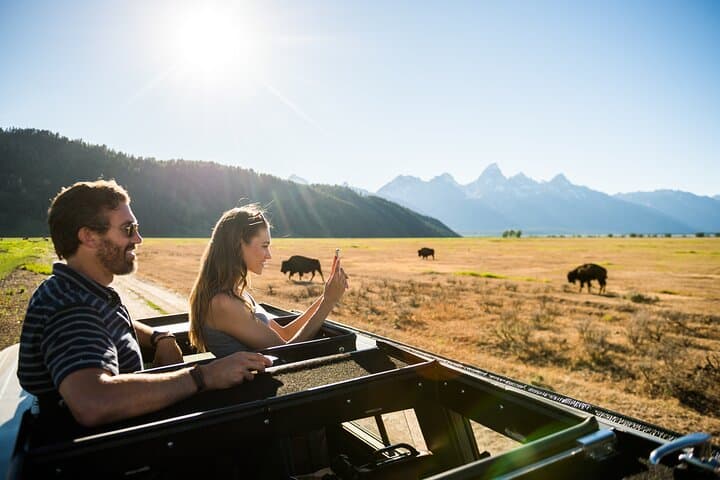 Private Grand Teton Wildlife Safari: 8-Hour Guided Adventure from Jackson photo 4