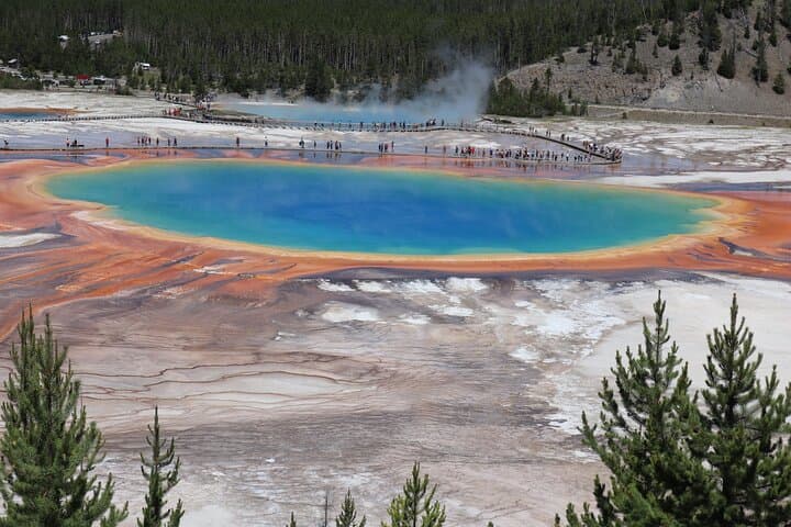 3-Day Yellowstone & Grand Teton Wildlife Loop: Upper & Lower Loop Scenic Tour from Jackson photo 4