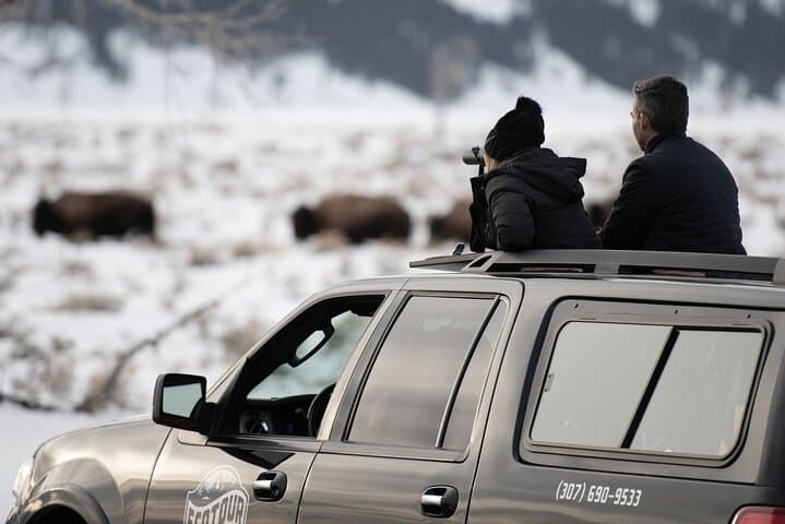 Full-Day Private Elk Refuge Sleigh Ride & Wildlife Art Museum Tour in Jackson Hole photo 2