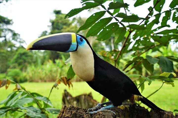 5-Day Waorani Yasuni Kayak Expedition: Paddle the Shiripuno into Indigenous Amazon photo 4