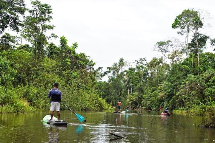 5-Day Waorani Yasuni Kayak Expedition: Paddle the Shiripuno into Indigenous Amazon photo 6