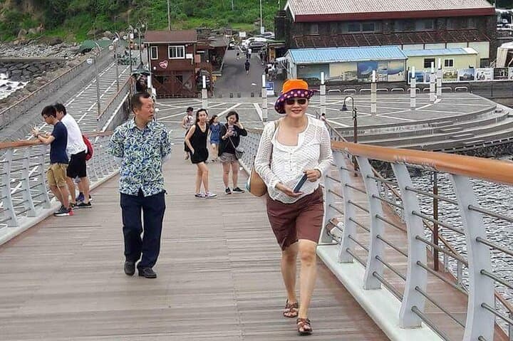 Jeju South & West Private Day Tour — Waterfalls, Basalt Cliffs & Tea Fields photo 5