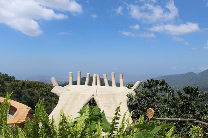 Sierra Nevada to Sea: Full-Day Minca, Taganga & Playa Grande Tour from Santa Marta photo 4