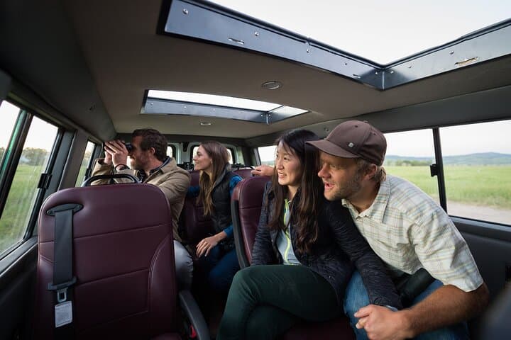 Full-Day Private Elk Refuge Sleigh Ride & Wildlife Art Museum Tour in Jackson Hole photo 6