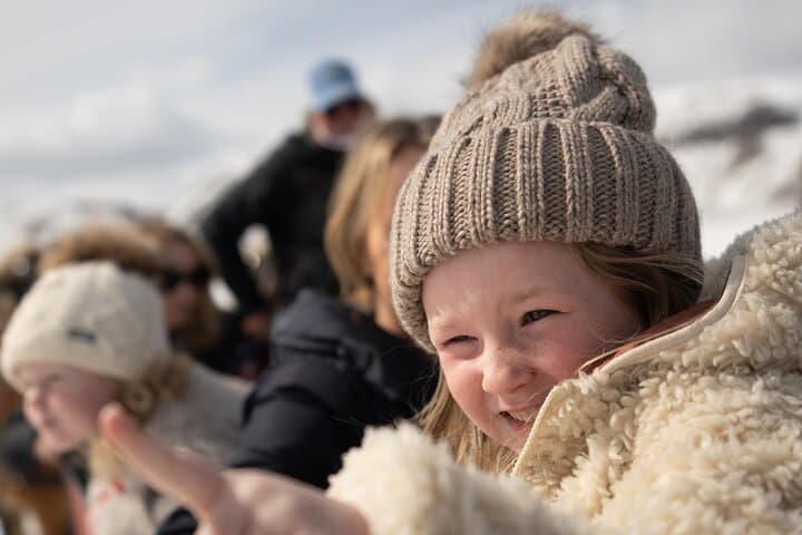 Full-Day Private Elk Refuge Sleigh Ride & Wildlife Art Museum Tour in Jackson Hole photo 4