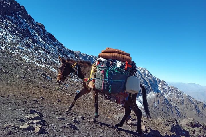 2-Day Mount Toubkal Summit Trek from Marrakech — Guided Ascent to 4,167 m photo 4