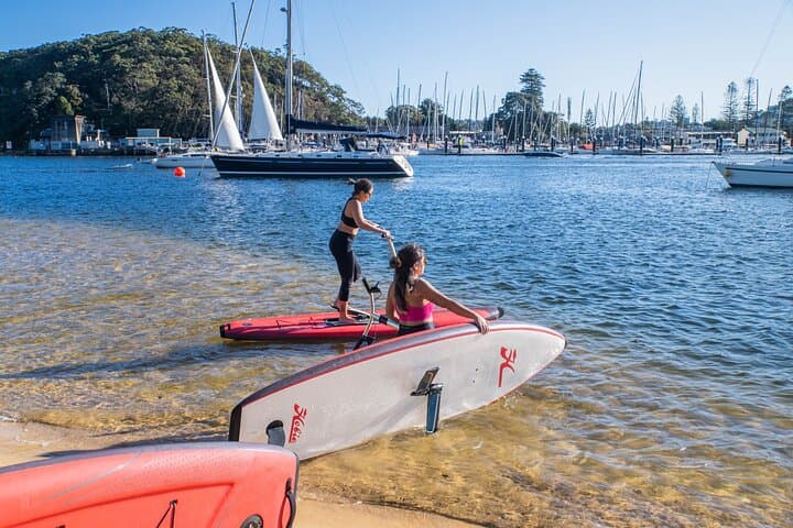 Guided Narrabeen Lagoon SUP Tour — 90-Minute Paddle Through Creeks & Sandbanks photo 3