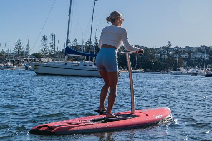 Guided Narrabeen Lagoon SUP Tour — 90-Minute Paddle Through Creeks & Sandbanks photo 6