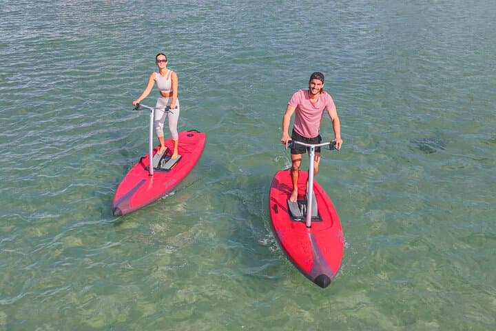 Guided Narrabeen Lagoon SUP Tour — 90-Minute Paddle Through Creeks & Sandbanks photo 2