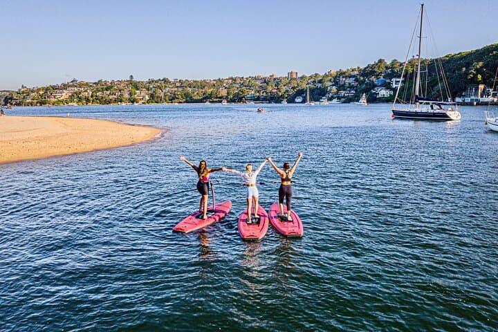 Guided Narrabeen Lagoon SUP Tour — 90-Minute Paddle Through Creeks & Sandbanks