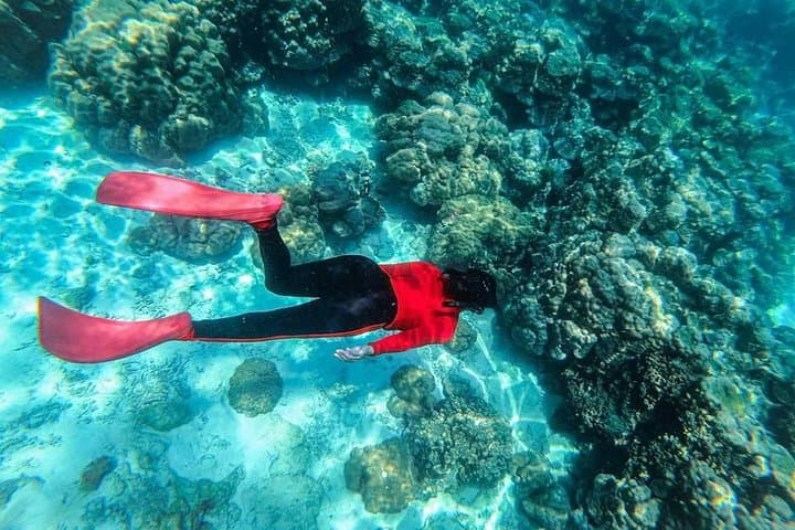 2-Day Koh Muk Emerald Cave Snorkel & Island Speedboat Adventure from Trang photo 4