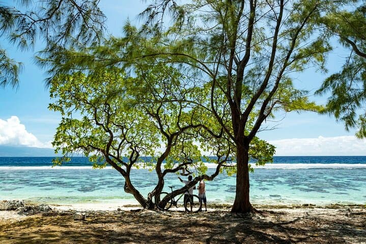 Moorea Highlights Private Tour: Mountains, Lagoons, and Culture in One Day