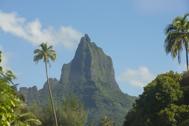 Moorea Highlights Private Tour: Mountains, Lagoons, and Culture in One Day photo 3