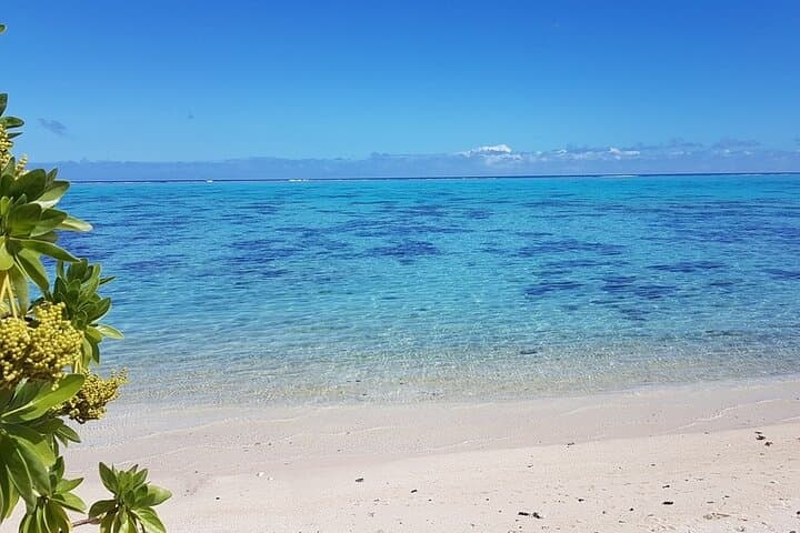 Moorea Highlights Private Tour: Mountains, Lagoons, and Culture in One Day photo 6
