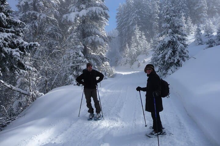 Snowshoe to Cherni Vrah: Full-Day Vitosha Mountain Winter Hike from Sofia photo 4