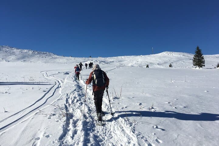 Snowshoe to Cherni Vrah: Full-Day Vitosha Mountain Winter Hike from Sofia photo 2